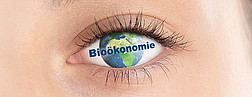 Bioökonomie-Logo Auge mit Schriftzug Bioökonomie