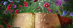 Buch im Grünen mit magischen Leuchteffekten, umringt von verschiedenen Pflanzen und bunten Blumen