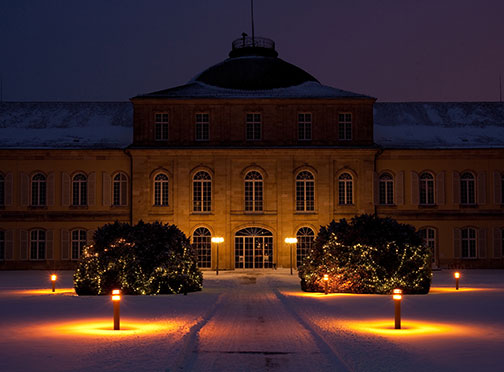 University of Hohenheim
