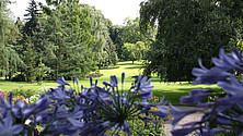 Www.Uni-Hohenheim.De Www.Uni-Hohenheim.De