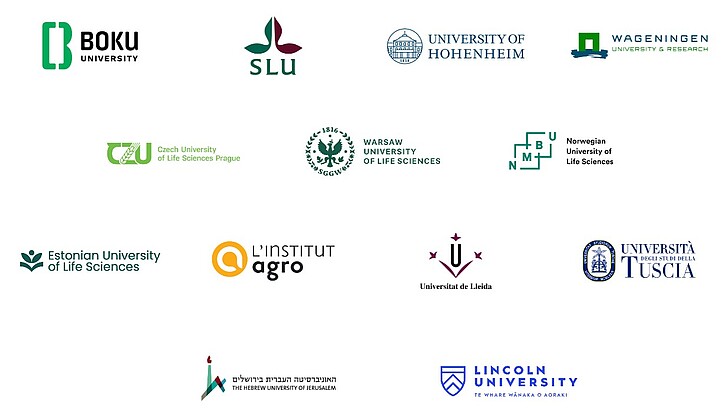 www.euroleague-study.org