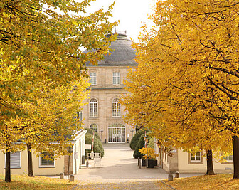 Foto: Schloss Hohenheim im Herbst, umgeben von Bäumen mit gelbem Laub. Der Weg zum Eingang ist von symmetrischen Gebäuden flankiert. Die Szene vermittelt eine ruhige, herbstliche Atmosphäre.