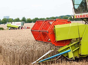 Zwei Mähdrescher fahren mähen in einem Abstand zueinander ein Getreidefeld.