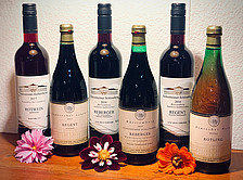 Zusammenstellung aller Rotweine im Angebot (6 Flaschen)