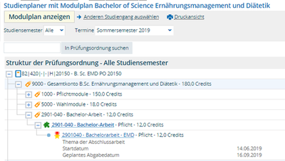 master thesis hohenheim