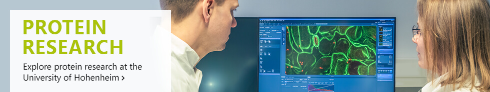 Images from research at the University of Hohenheim on the topic of protein