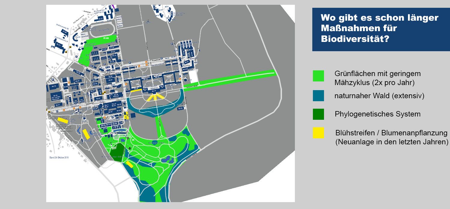 campusplan