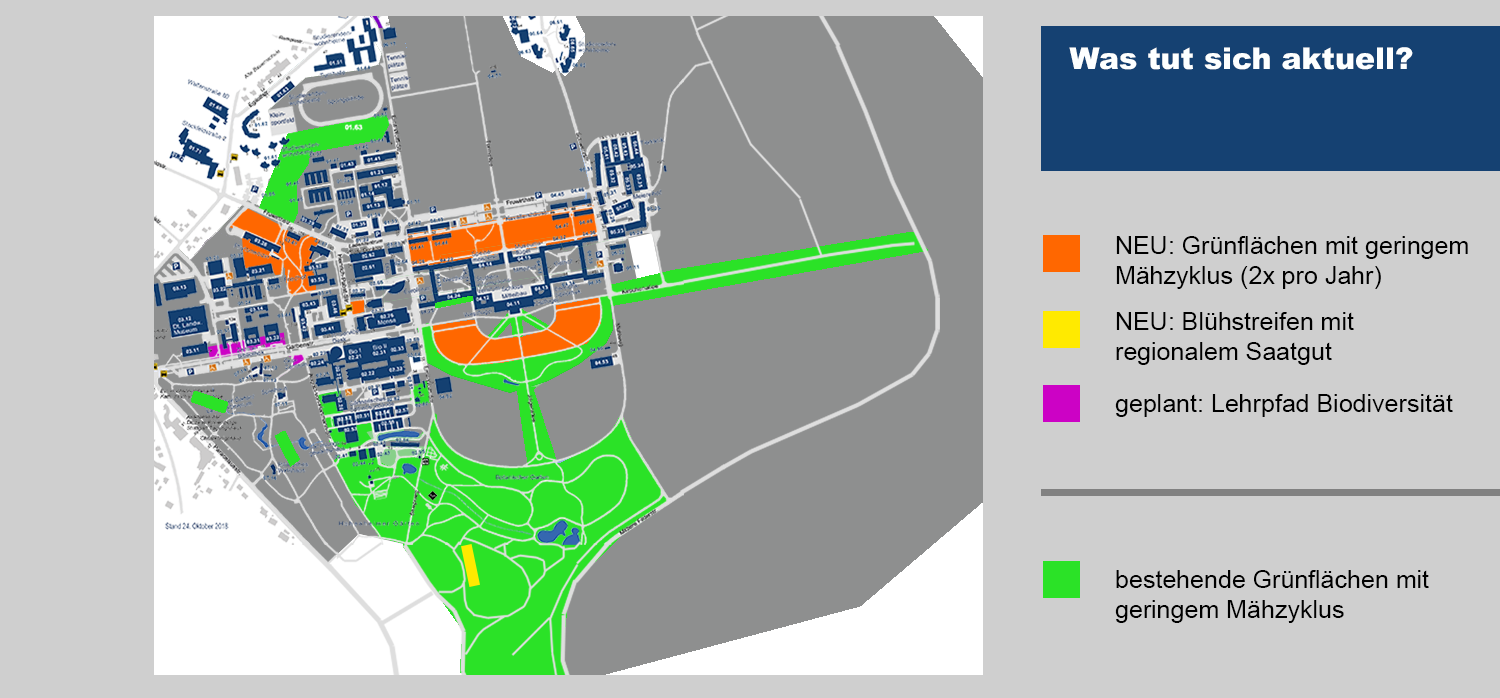 campusplan