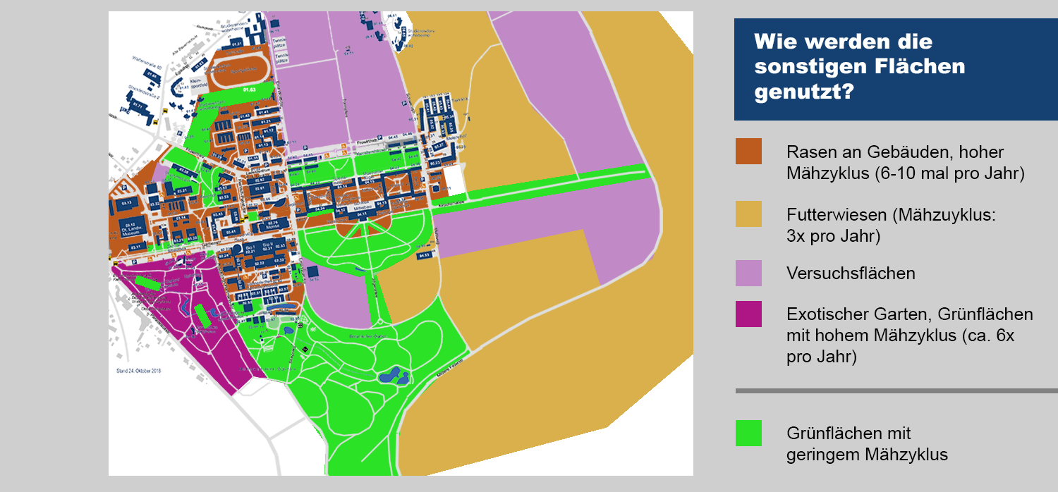 campusplan