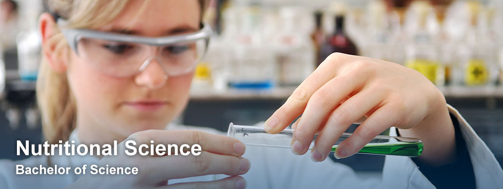 bachelor of science in nutrition online