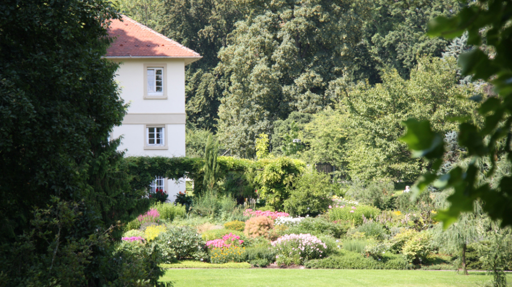 Botanischer Garten Hohenheim : Details Zu 0008306917 ...