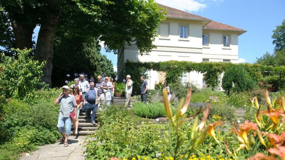 Gardens University Of Hohenheim