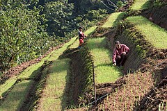 Die Landschaft ist der einzige Rohstofflieferant, den die Menschheit hat. Also muss sie nachhaltig damit wirtschaften. Foto: SFB 564