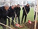 Jubiläums-Baum in Sichtweite des Gymnasium: Die Co-Jubilare legen im Schneetreiben mit Hand an. Bild: Uni Hohenheim | Sabine Pfeiffer