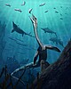Reconstruction of the long-necked marine reptile Austronaga minuta. Reconstruction of the long-necked marine reptile Austronaga minuta.