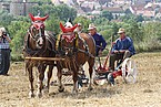 Sueddeutsche angespannt / Bildquelle: Herold