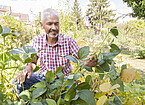 Dr. Volker Hahn researches soy from regional cultivation. | Image source: University of Hohenheim / Sacha Dauphin