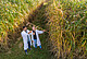 Bioethanol from the giant grass miscanthus, combined with carbon storage in depleted oil reservoirs, can make a significant contribution to reducing greenhouse gas emissions.