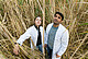 Industrial crops like this miscanthus grass make low-productivity sites profitable: In the EU project MAGIC, the University of Hohenheim and its partners are investigating how unprofitable areas can be used sustainably while also adding value. | Image source: University of Hohenheim / Wolfram Scheible