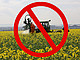 Landwirtschaft ohne chemischen Pflanzenschutz – Universität Hohenheim stellt neues Verbundprojekt vor. | Bildquelle: Bildquelle: Universität Hohenheim / Klaus Wallner