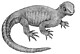 Rekonstruktion der Ur-Schildkröte Pappochelys rosinae. | Urhebervermerk/Copyright: Rainer Schoch Rekonstruktion der Ur-Schildkröte Pappochelys rosinae. | Urhebervermerk/Copyright: Rainer Schoch
