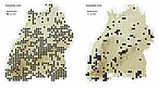 Comparison of the distribution of the green-winged orchid (Anacamptis morio, formerly Orchis morio) in Baden-Württemberg: the map on the left shows records prior to the year 2000, whilst the map on the right shows records since 2000. The comparison highlights the significant decline in the species’ occurrence. Credit/Copyright notice: SMNS, Floristic Mapping of Baden-Württemberg