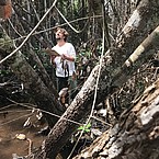 Dr. Bernardo Flores during mapping | Picture source: University of Hohenheim / Anna Abrahão