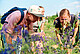 Entdeckungstour zur heimischen Flora und Fauna beim Tag der Artenvielfalt auf dem Hohenheimer Campus. | Bildquelle: Universität Hohenheim / Gerlach