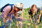 Entdeckungstour zur heimischen Flora und Fauna beim Tag der Artenvielfalt auf dem Hohenheimer Campus. | Bildquelle: Universität Hohenheim / Gerlach