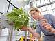 Dr. Alina Schick von der Universität Hohenheim lässt ihre Pflanzen rotieren und horizontal wachsen | Bildquelle: Universität Hohenheim, Jan Winkler