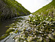 Wasser – das wertvolle Gut. Hier das Einzugsgebiet der Bode im Harzvorland. Foto: André Künzelmann/UFZ