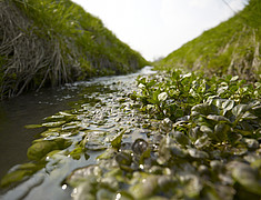 Wasser – das wertvolle Gut. Hier das Einzugsgebiet der Bode im Harzvorland. Foto: André Künzelmann/UFZ