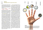 Merksätze verhelfen zum besseren Verständnis. | Quelle: utb-Verlag/ Universität Hohenheim