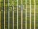 Landwirtschaft 4.0: Satellitendaten für das Smart Farming von morgen | Bildquelle: Universität Hohenheim / Florian Gerlach