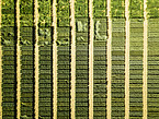 Landwirtschaft 4.0: Satellitendaten für das Smart Farming von morgen | Bildquelle: Universität Hohenheim / Florian Gerlach