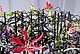 besondere Blumen-Arrangements