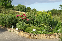 Der Hildegard von Bingen-Garten