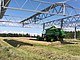 The first grain harvest of the APV system is being gathered. | Image: Hofgemeinschaft Heggelbach / Olivia Schmid