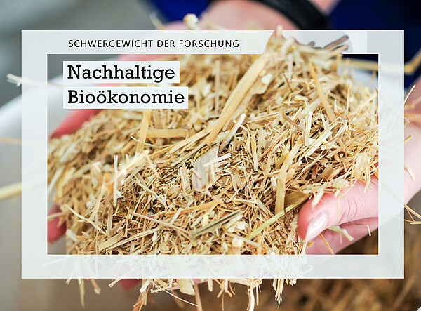 Schwergewicht der Forschung