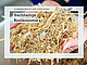 Bild: Universität Hohenheim / Max Kovalenko