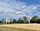Wohnheime "Schwerzstraße 1-3" am Rand des Goldenen Ackers, auf dem die Universität Hohenheim agrarwissenschaftliche Versuche durchführt. Rechts Gebäude 3, das frisch kernsaniert wurde. Links Gebäude 2, das derzeit leer steht und entkernt wird. Dazwischen im Hintergrund Gebäude 1, das durch die Bauarbeiten in Mitleidenschaft gezogen ist. Bild: Uni Hohenheim/Klebs
