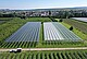Agri-Photovoltaik-Anlagen können Pflanzen zum Beispiel vor zu starker Sonneneinstrahlung schützen. Foto: Fraunhofer ISE