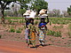 Quelle: Food Security Center