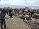 Quelle: Food Security Center