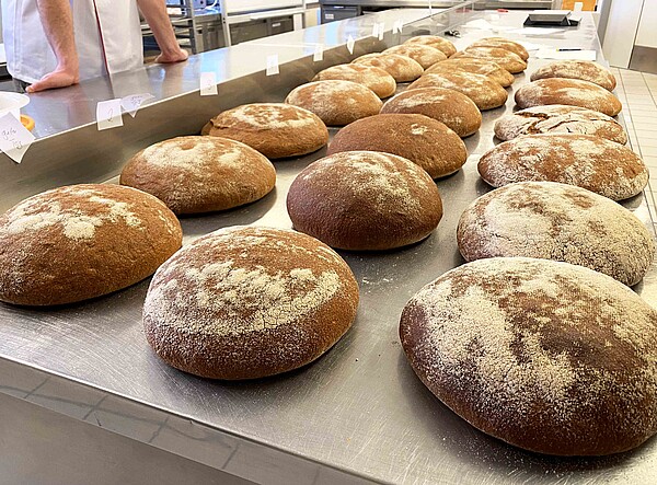 Brot der Zukunft