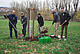 Pflanzaktion zum Hohenheimer Rieslingapfel: v.l. Jochen Berger (Streuobstfachstelle Stadt Stuttgart), Rudolf Brenkel (Ehrenvorsitzender OGV Altbach), Dr. Helmut Dalitz (wiss. Leiter der Hohenheimer Gärten), Dr. Robert Gliniars (Kustos der Hohenheimer Gärten), Lucas Pacholet (Hobby-Pomologe)