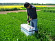 Probenentnahme auf dem Feld. Foto: Universität Hohenheim