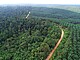 Regenwald (links) und Ölpalmenplantage (rechts) | Foto: Ananggadipa Raswanto