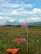 Standort des Schwarze Kohlröschen in Südtirol | Bildquelle: Universität Zürich / Roman Kellenberger