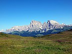 Standort des Schwarze Kohlröschen in Südtirol | Bildquelle: Universität Zürich / Roman Kellenberger